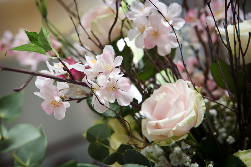 Pendrell Hall Wedding Photographer